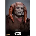 Star Wars: Revenge of the Sith Saesee Tiin Hot Toys