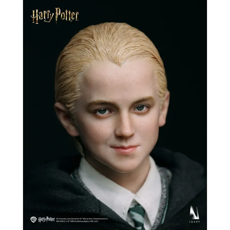 Harry Potter Draco Malfoy INART Studio