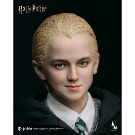 Harry Potter Draco Malfoy INART Studio