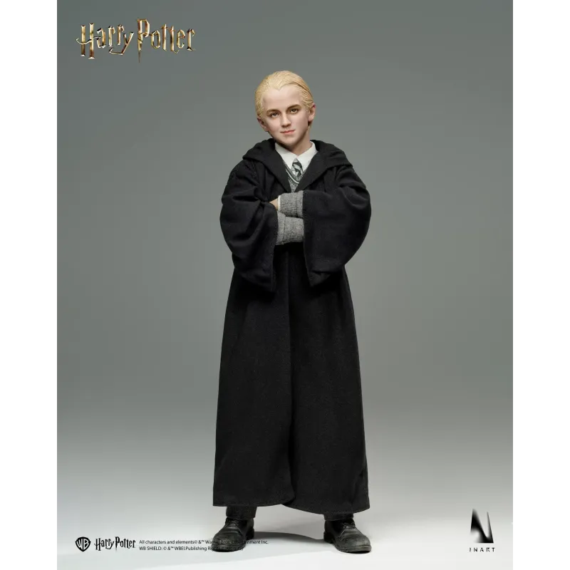 Harry Potter Draco Malfoy INART Studio