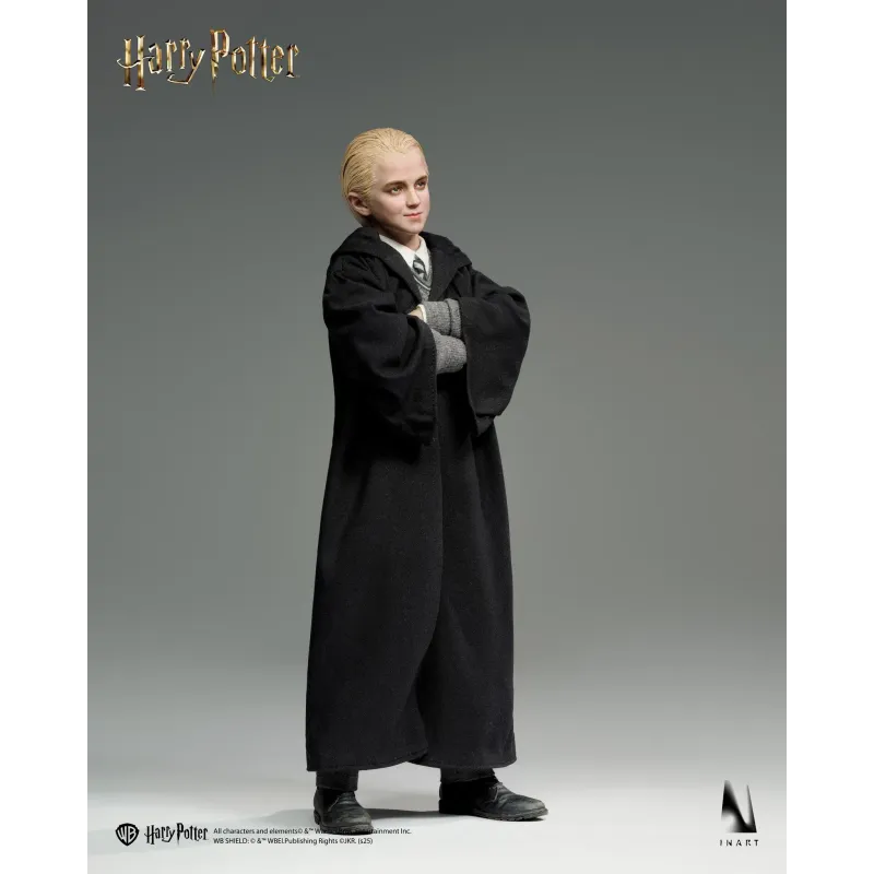 Harry Potter Draco Malfoy INART Studio