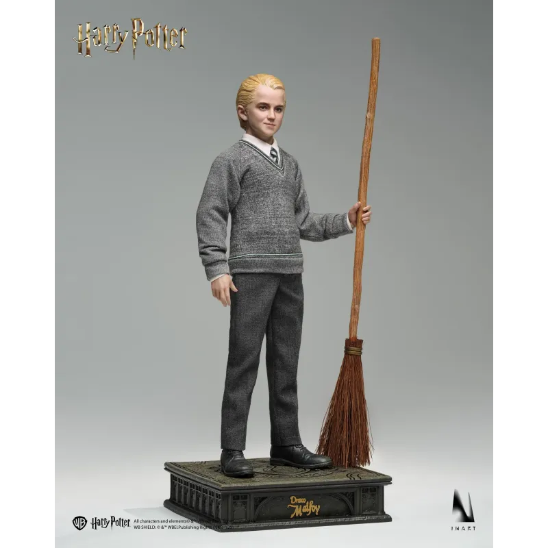 Harry Potter Draco Malfoy INART Studio