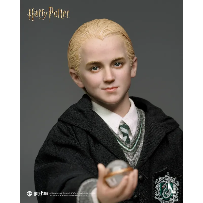 Harry Potter Draco Malfoy INART Studio