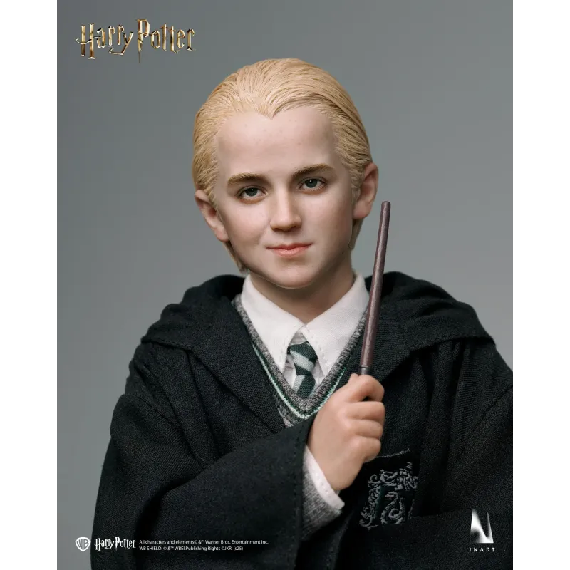 Harry Potter Draco Malfoy INART Studio