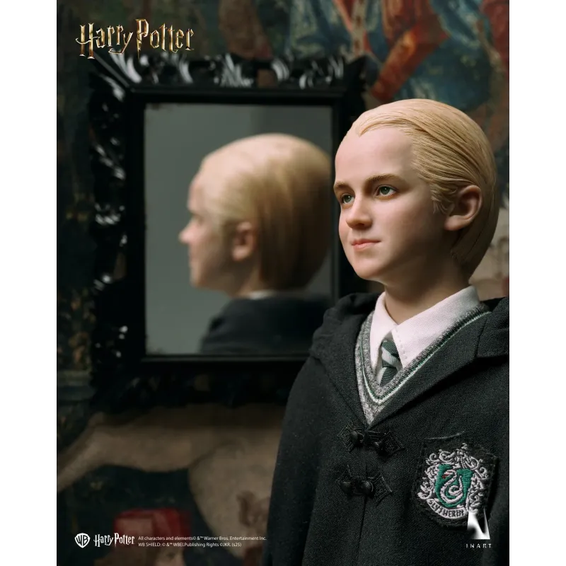 Harry Potter Draco Malfoy INART Studio