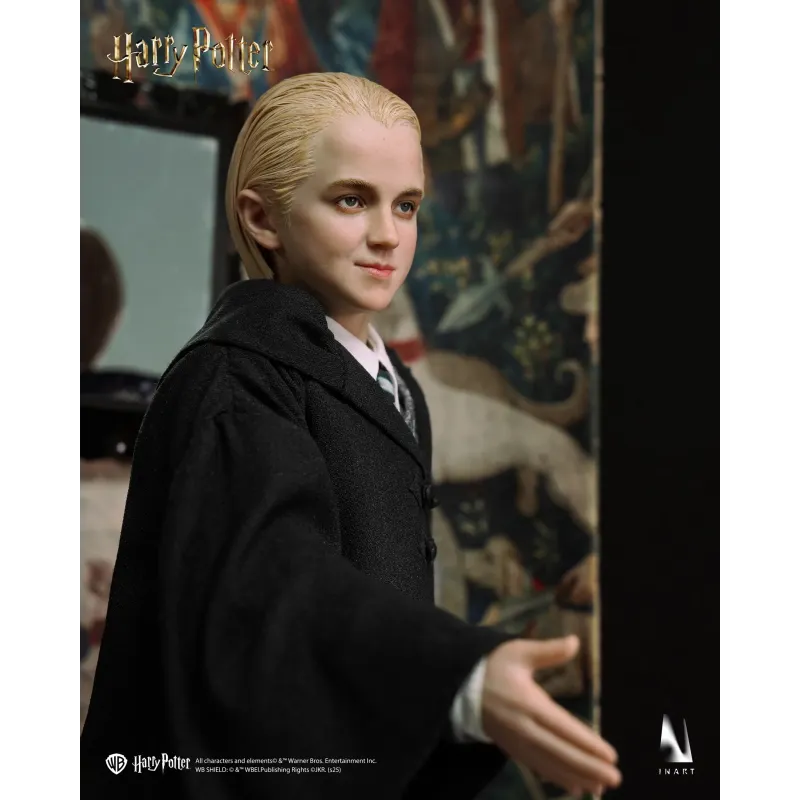 Harry Potter Draco Malfoy INART Studio