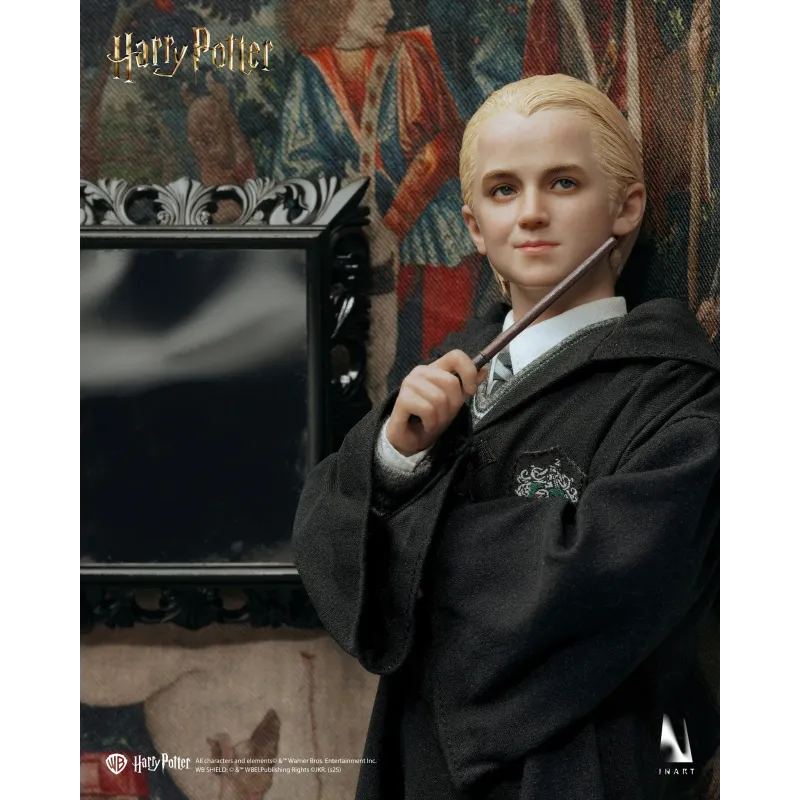 Harry Potter Draco Malfoy INART Studio
