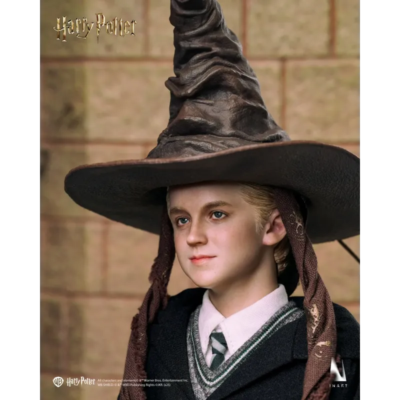 Harry Potter Draco Malfoy INART Studio