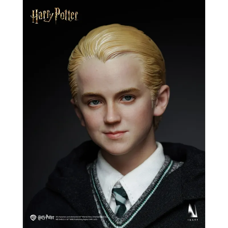 Harry Potter Draco Malfoy INART Studio