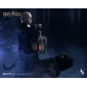 Harry Potter Draco Malfoy INART Studio