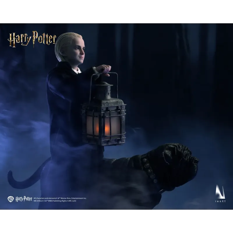 Harry Potter Draco Malfoy INART Studio