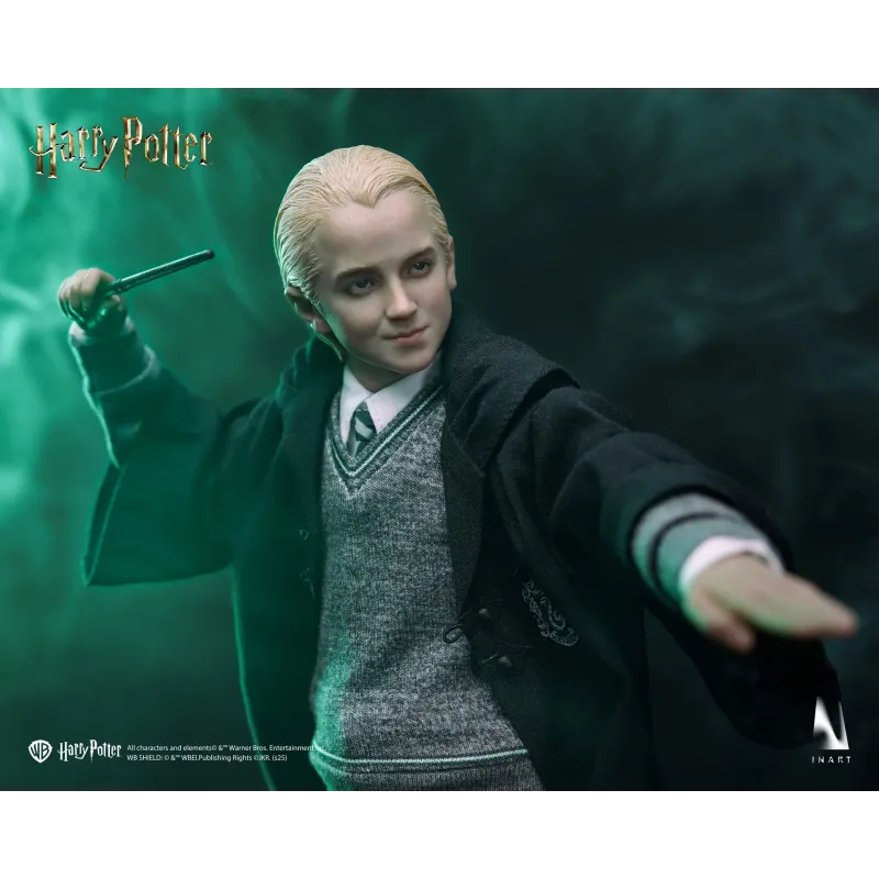 Harry Potter Draco Malfoy INART Studio
