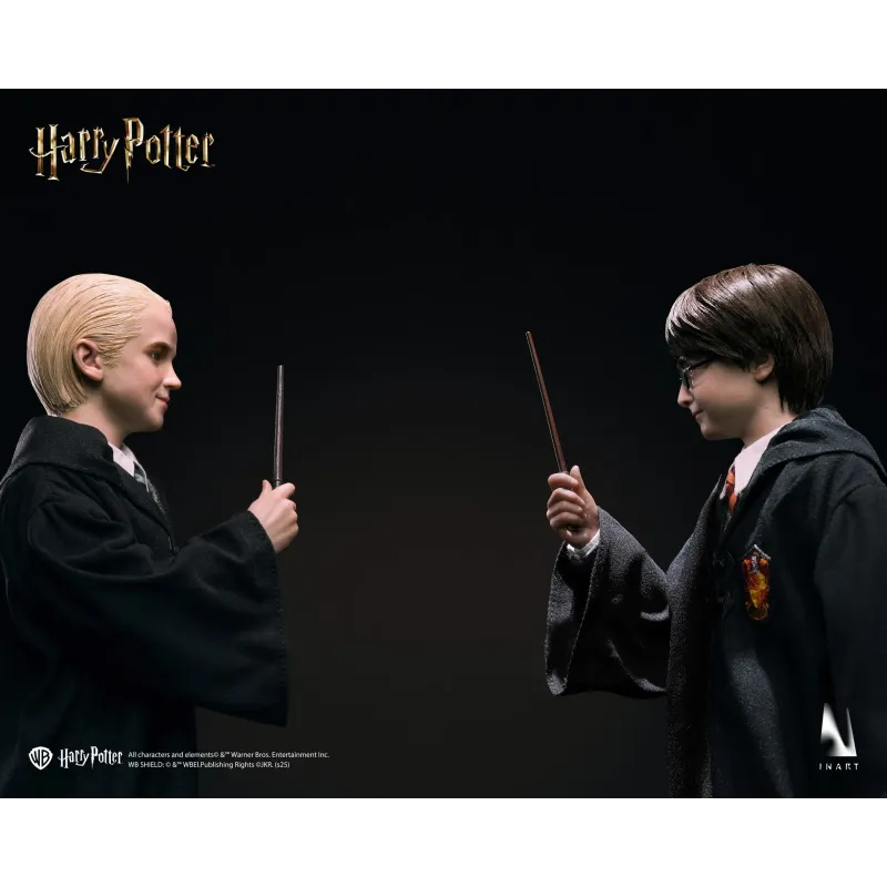 Harry Potter Draco Malfoy INART Studio