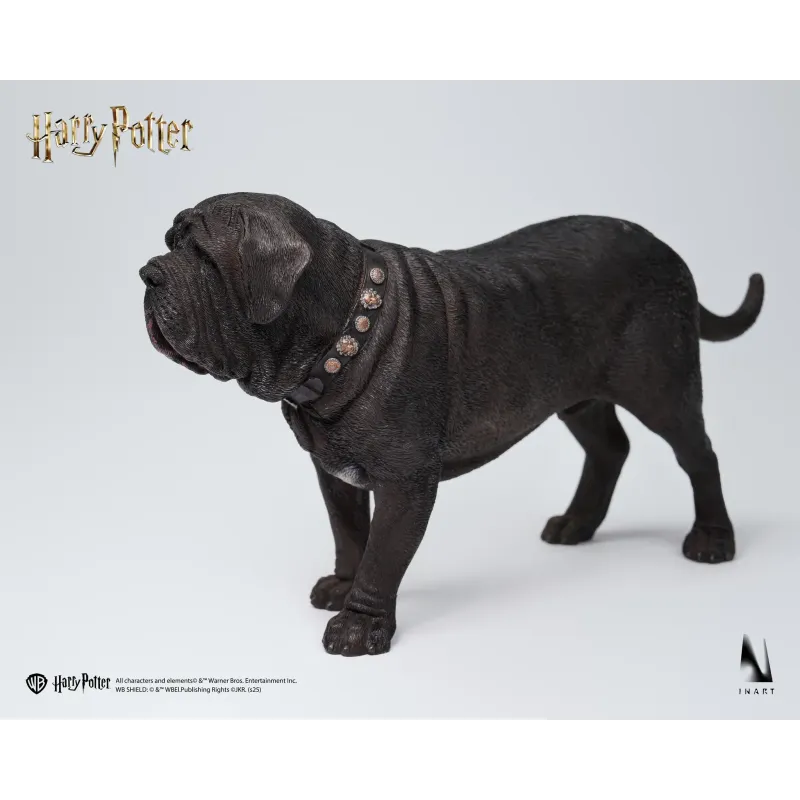 Harry Potter Draco Malfoy INART Studio