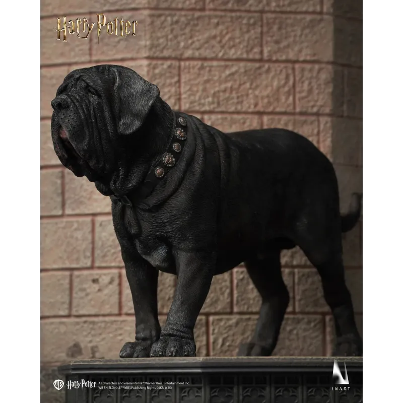 Harry Potter Draco Malfoy INART Studio
