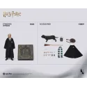Harry Potter Draco Malfoy INART Studio