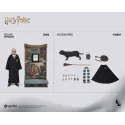 Harry Potter Draco Malfoy INART Studio