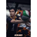 Haikyuu! Yu Nishinoya & Daichi Sawamura Hikari Studio