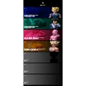 Dragon Ball Z Kid Buu SG Studio