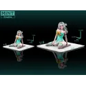 Honkai: Star Rail Home Firefly Mint Studio