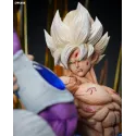 Dragon Ball Z Goku vs Cooler Chikara Studio