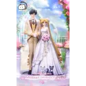 Sailor Moon Tsukino Usagi & Mamoru Chiba's Wedding CAT TAIL Studio