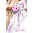 Sailor Moon Tsukino Usagi & Mamoru Chiba's Wedding CAT TAIL Studio