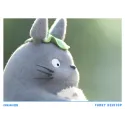My Neighbor Totoro Furry Desktop Fishing Totoro CHIKARA Studio