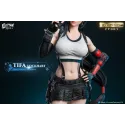 Final Fantasy FF Collector Series 001 Tifa FANTASY Studio