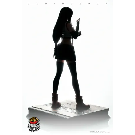 Final Fantasy Series Tifa Lockhart Fries Studio