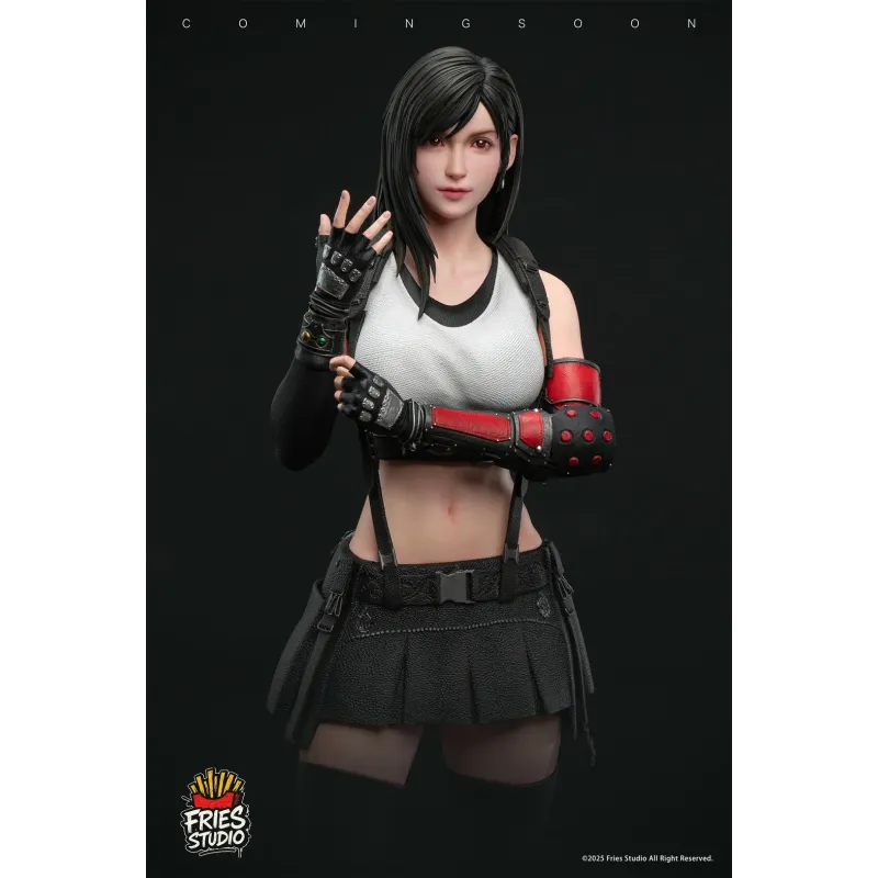 Final Fantasy Series Tifa Lockhart Fries Studio