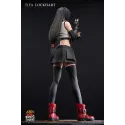 Final Fantasy Series Tifa Lockhart Fries Studio