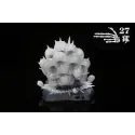 Hollow Knight Howling Wraiths & Abyss Shriek 27abyss Studio