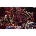 Hellsing Alexander Anderson Dream Box Studio