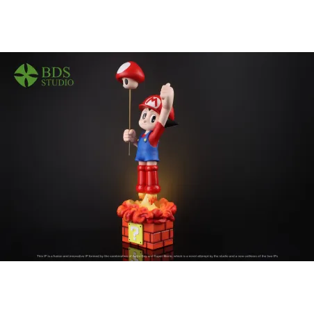 AstroBoy AstroBoy Cosplay Mario BDS Studio