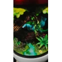 Pokémon Bulbasaur Ball Ball Studio