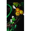 Pokémon Bulbasaur Ball Ball Studio