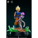 Dragon Ball Z Goku vs Frieza V2 Figure Class