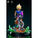 Dragon Ball Z Goku vs Frieza V2 Figure Class