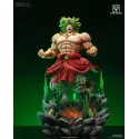 Dragon Ball Z Broly CPR Studio