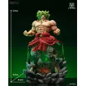 Dragon Ball Z Broly CPR Studio