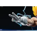 Dragon Ball Z Majin Vegeta DU Studio