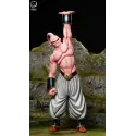 Dragon Ball Z Super Buu Break Studio