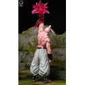 Dragon Ball Z Super Buu Break Studio