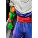 Dragon Ball Z Piccolo Break Studio