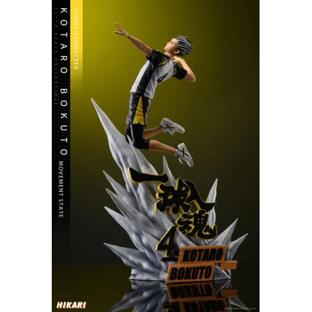 Haikyuu Kotaro Bokuto Hikari Studio