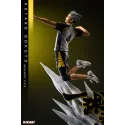 Haikyuu Kotaro Bokuto Hikari Studio