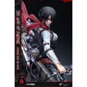 Attack on Titan Mikasa & Levi LC Studio