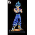 Dragon Ball Z Vegetto EX Plan B Studio