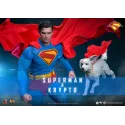 DC Superman & Krypto Hot Toys